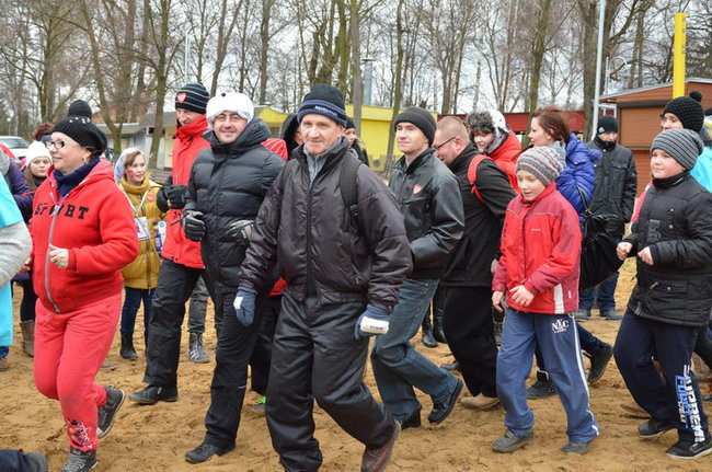 Czy mors zastąpi byka na plastronie? (zdjęcia)