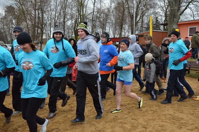 Czy mors zastąpi byka na plastronie? (zdjęcia)