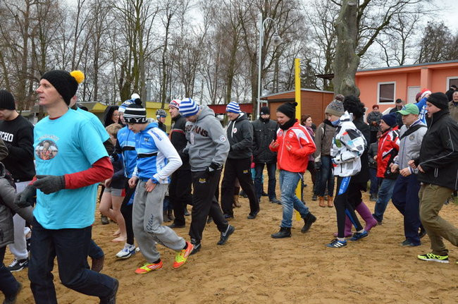 Czy mors zastąpi byka na plastronie? (zdjęcia)