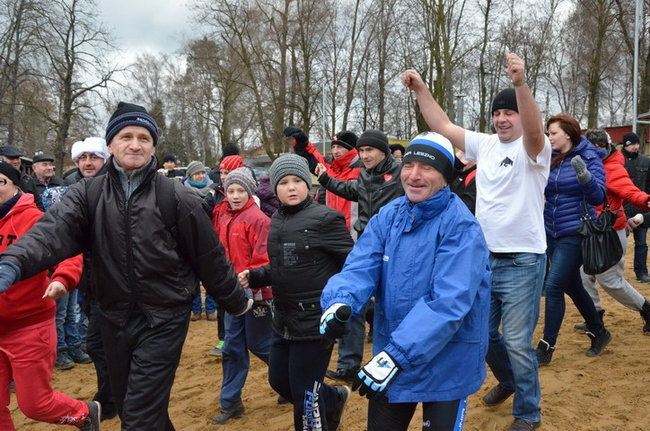 Czy mors zastąpi byka na plastronie? (zdjęcia)