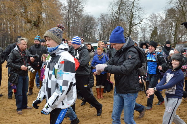 Czy mors zastąpi byka na plastronie? (zdjęcia)