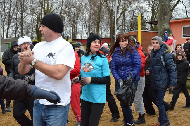 Czy mors zastąpi byka na plastronie? (zdjęcia)