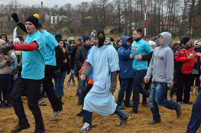 Czy mors zastąpi byka na plastronie? (zdjęcia)