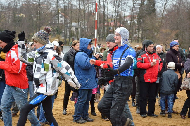 Czy mors zastąpi byka na plastronie? (zdjęcia)