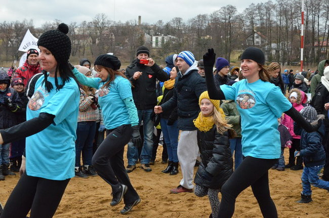 Czy mors zastąpi byka na plastronie? (zdjęcia)