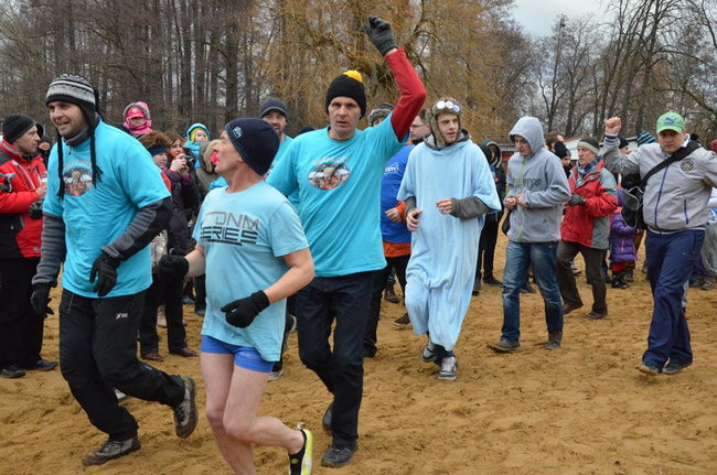 Czy mors zastąpi byka na plastronie? (zdjęcia)