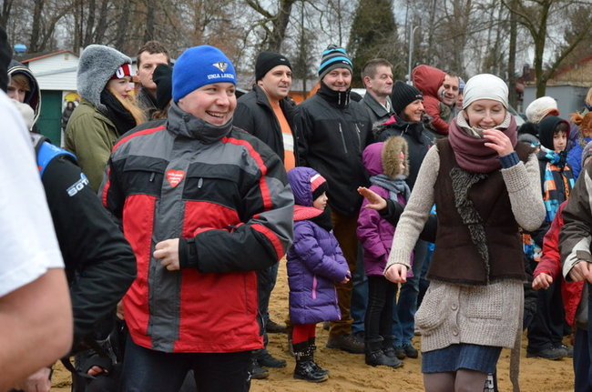 Czy mors zastąpi byka na plastronie? (zdjęcia)