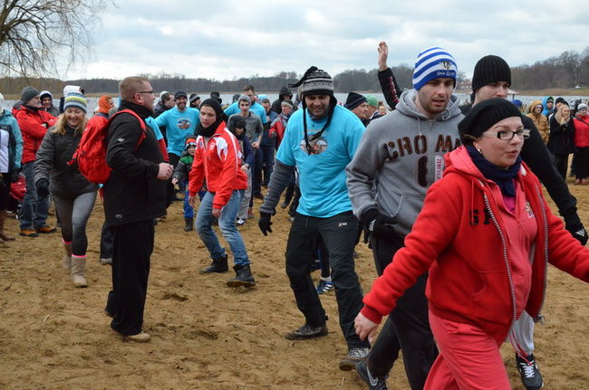 Czy mors zastąpi byka na plastronie? (zdjęcia)