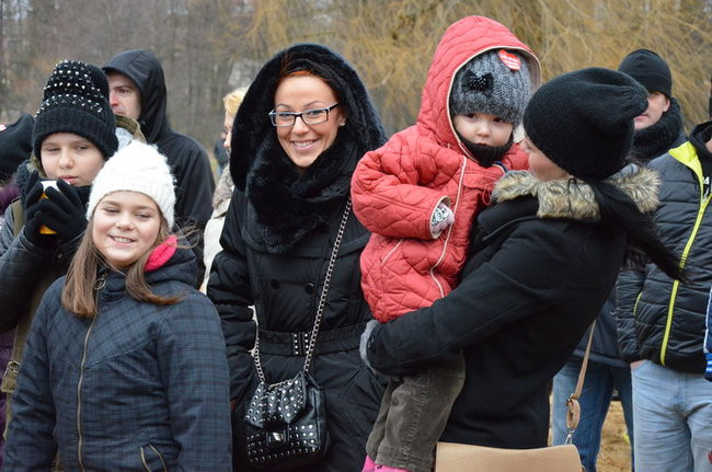 Czy mors zastąpi byka na plastronie? (zdjęcia)