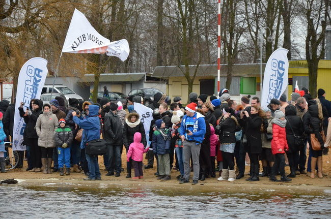 Czy mors zastąpi byka na plastronie? (zdjęcia)