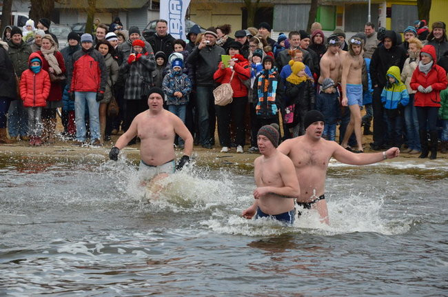Czy mors zastąpi byka na plastronie? (zdjęcia)