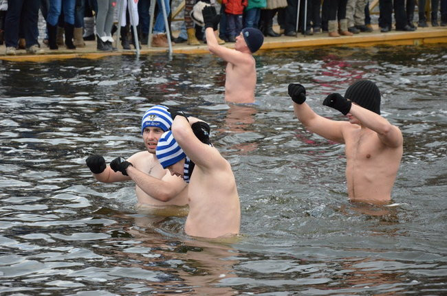 Czy mors zastąpi byka na plastronie? (zdjęcia)