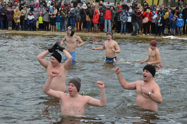Czy mors zastąpi byka na plastronie? (zdjęcia)