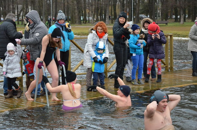 Czy mors zastąpi byka na plastronie? (zdjęcia)