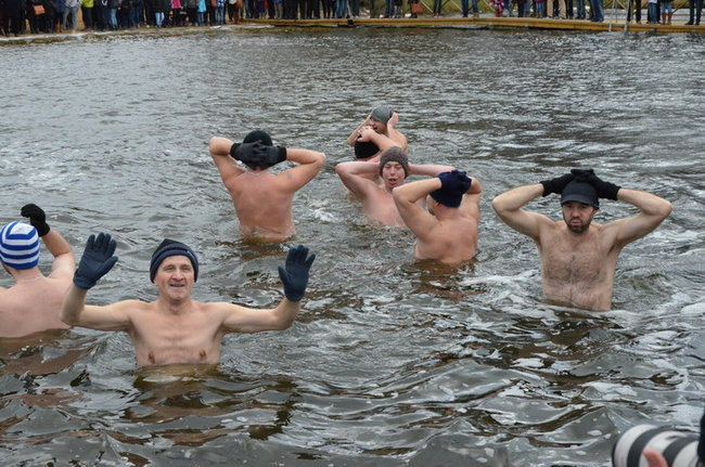 Czy mors zastąpi byka na plastronie? (zdjęcia)