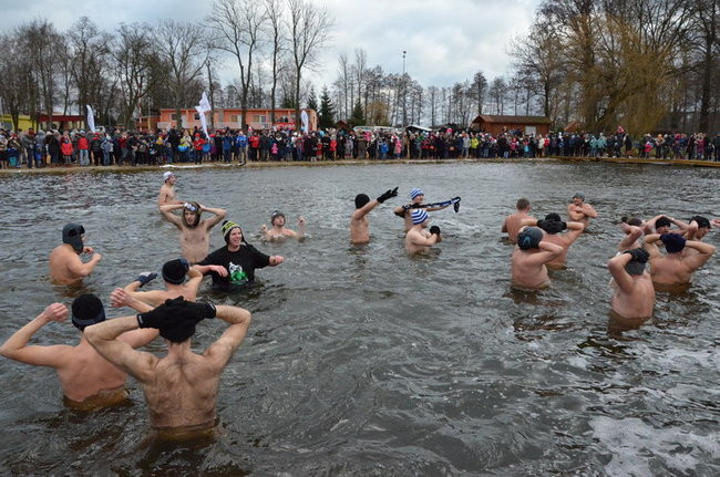 Czy mors zastąpi byka na plastronie? (zdjęcia)
