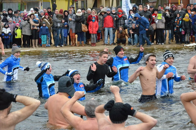 Czy mors zastąpi byka na plastronie? (zdjęcia)