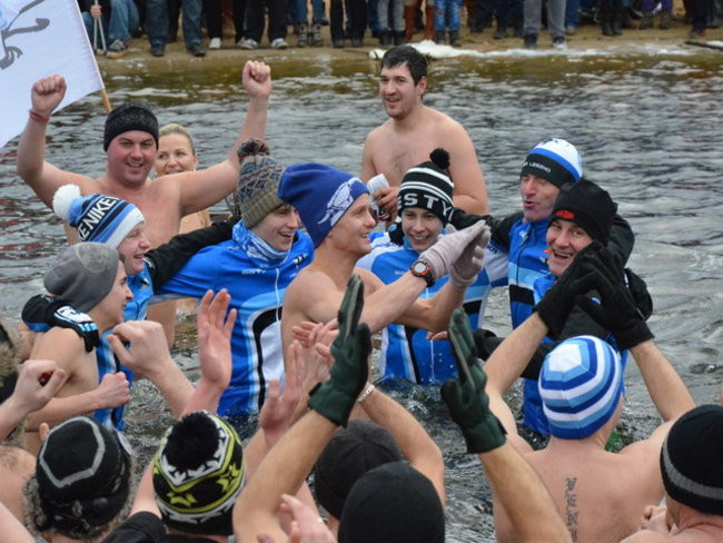 Czy mors zastąpi byka na plastronie? (zdjęcia)