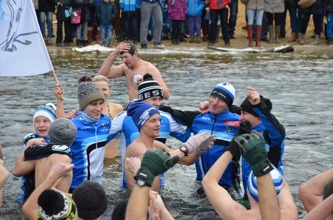 Czy mors zastąpi byka na plastronie? (zdjęcia)
