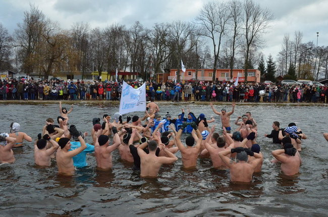 Czy mors zastąpi byka na plastronie? (zdjęcia)