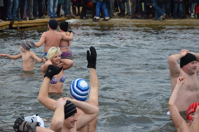 Czy mors zastąpi byka na plastronie? (zdjęcia)