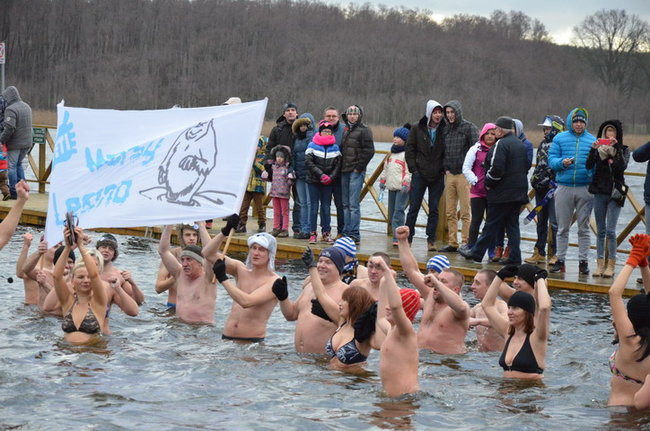 Czy mors zastąpi byka na plastronie? (zdjęcia)