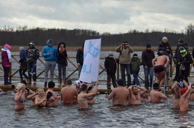 Czy mors zastąpi byka na plastronie? (zdjęcia)