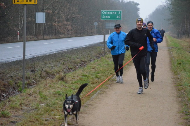 Koleżeńskie bieganie (zdjęcia)