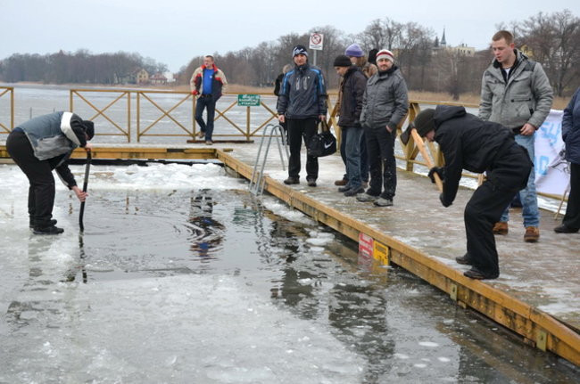 Raki pouciekały w trzciny (zdjęcia)