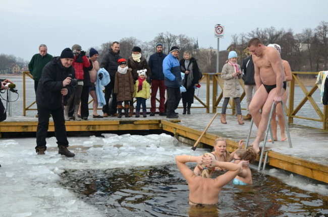 Raki pouciekały w trzciny (zdjęcia)
