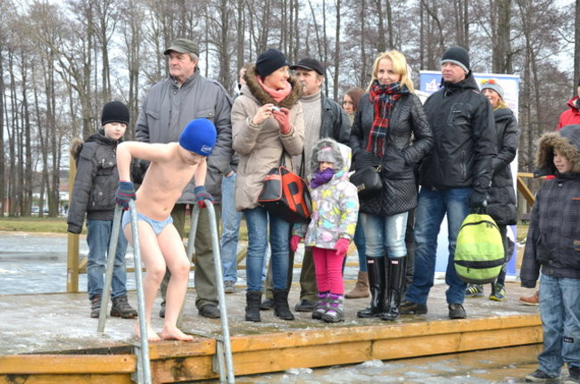 Raki pouciekały w trzciny (zdjęcia)