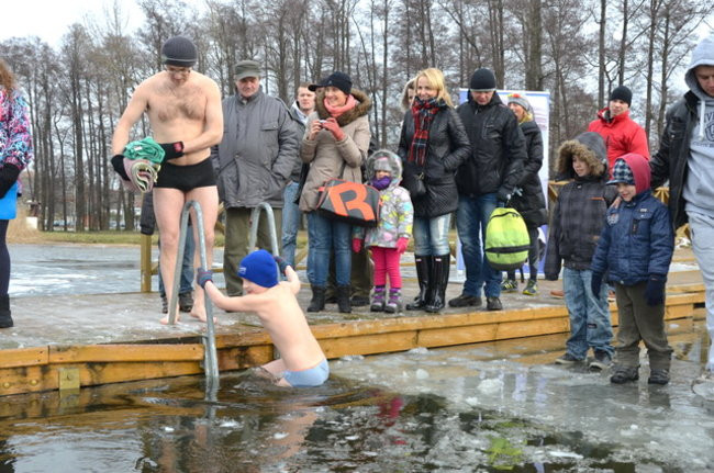 Raki pouciekały w trzciny (zdjęcia)