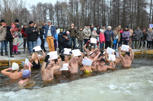 Raki pouciekały w trzciny (zdjęcia)