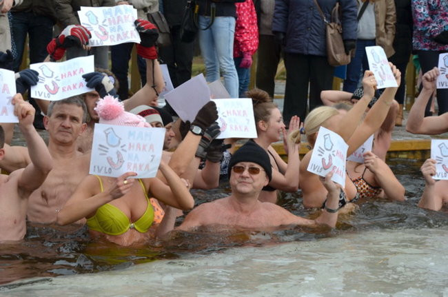 Raki pouciekały w trzciny (zdjęcia)