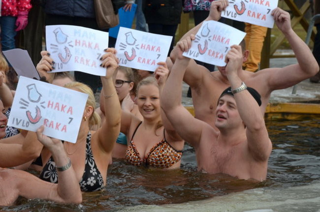 Raki pouciekały w trzciny (zdjęcia)