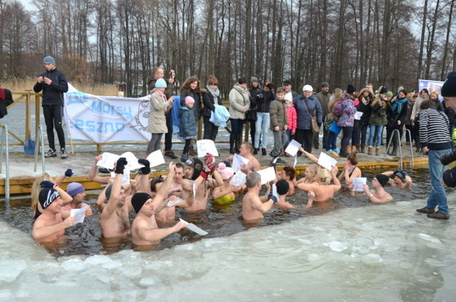 Raki pouciekały w trzciny (zdjęcia)