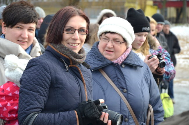 Raki pouciekały w trzciny (zdjęcia)