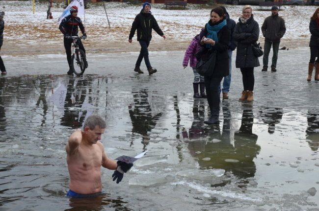 Raki pouciekały w trzciny (zdjęcia)