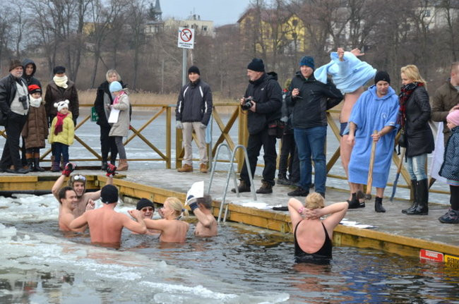 Raki pouciekały w trzciny (zdjęcia)