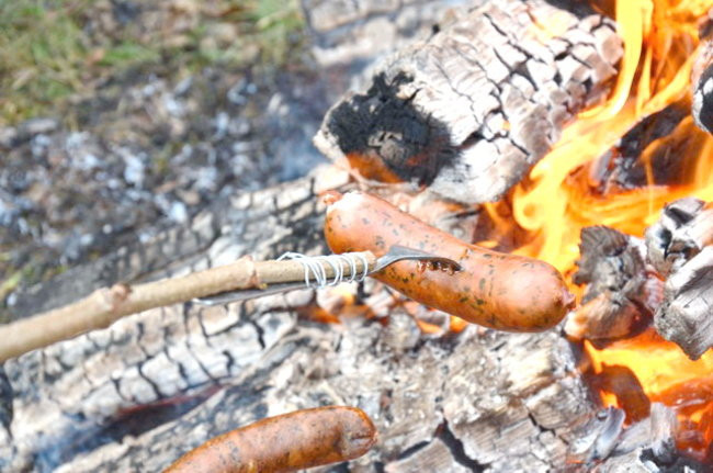 Raki pouciekały w trzciny (zdjęcia)