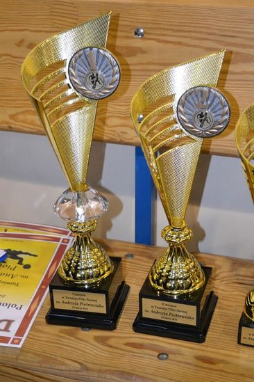 Turniej im. Andrzeja Piotrowiaka w Drobninie (zdjęcia)