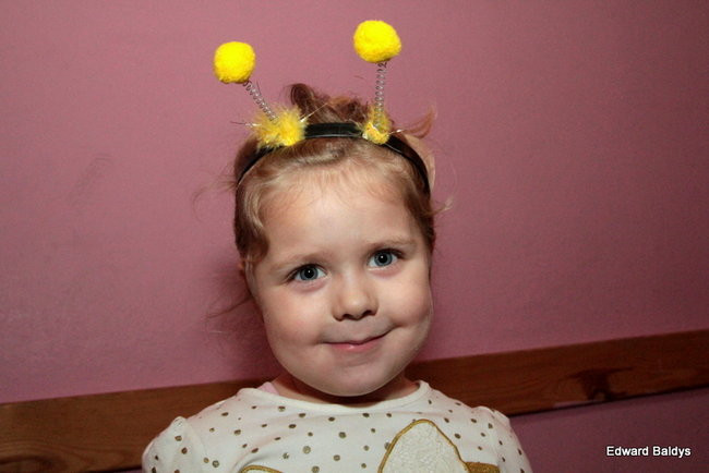 Karnawałowy balik w Wojnowicach (zdjęcia)