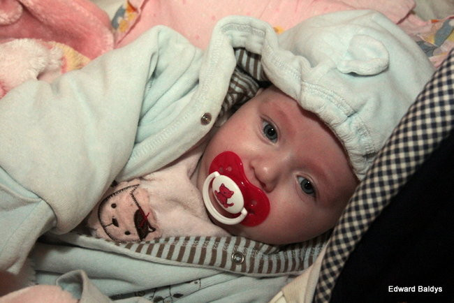 Karnawałowy balik w Wojnowicach (zdjęcia)