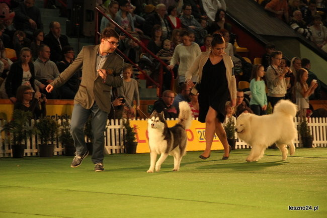 Samar zwyciężył w Trapezie (zdjęcia)