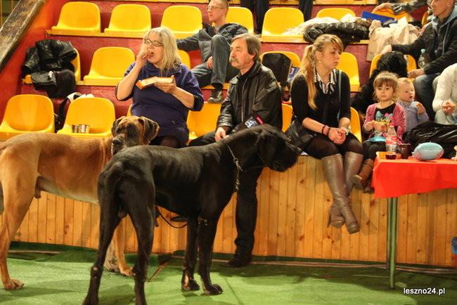 Samar zwyciężył w Trapezie (zdjęcia)