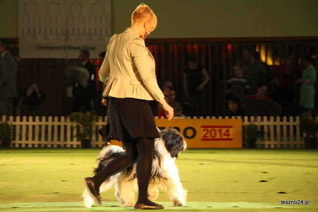 Samar zwyciężył w Trapezie (zdjęcia)