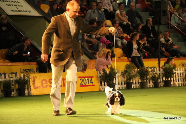 Samar zwyciężył w Trapezie (zdjęcia)