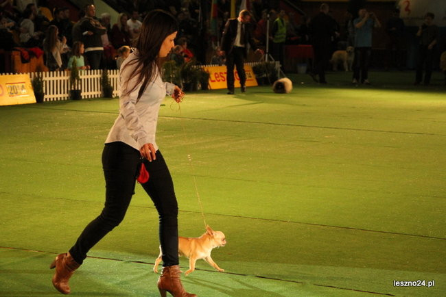 Samar zwyciężył w Trapezie (zdjęcia)