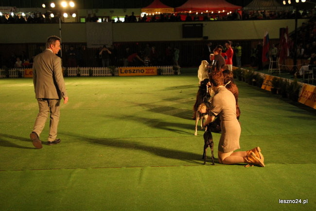 Samar zwyciężył w Trapezie (zdjęcia)