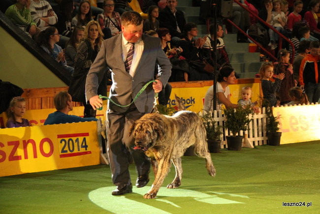 Samar zwyciężył w Trapezie (zdjęcia)